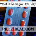 What Is Kamagra Oral Jelly 06